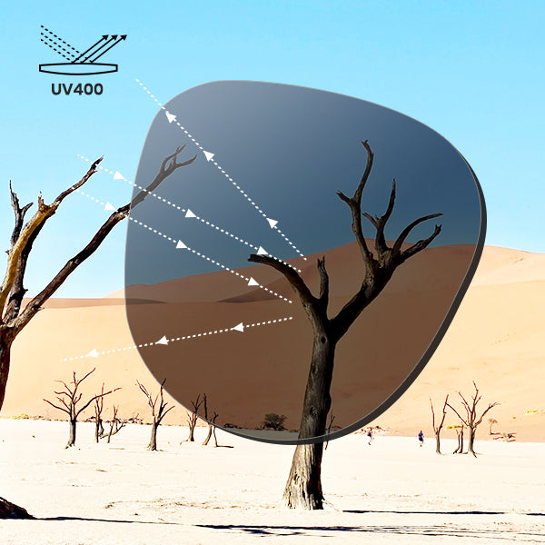 Lentes de Sol Plegables Polarizadas 1019